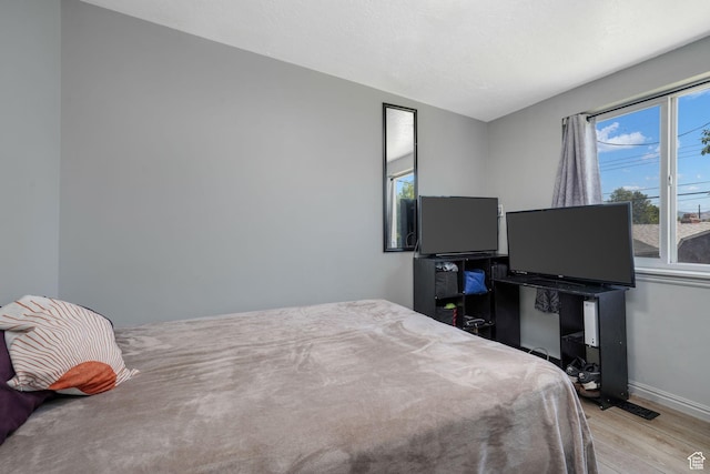 4245 S 3760 W, West Valley City, UT 84120 - bedroom with light wood-type flooring and multiple windows