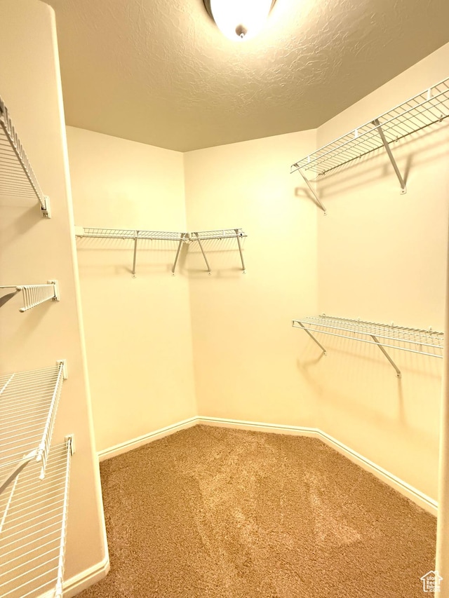 532 W 300 S Unit B, Springville, UT 84663 - spacious closet featuring carpet
