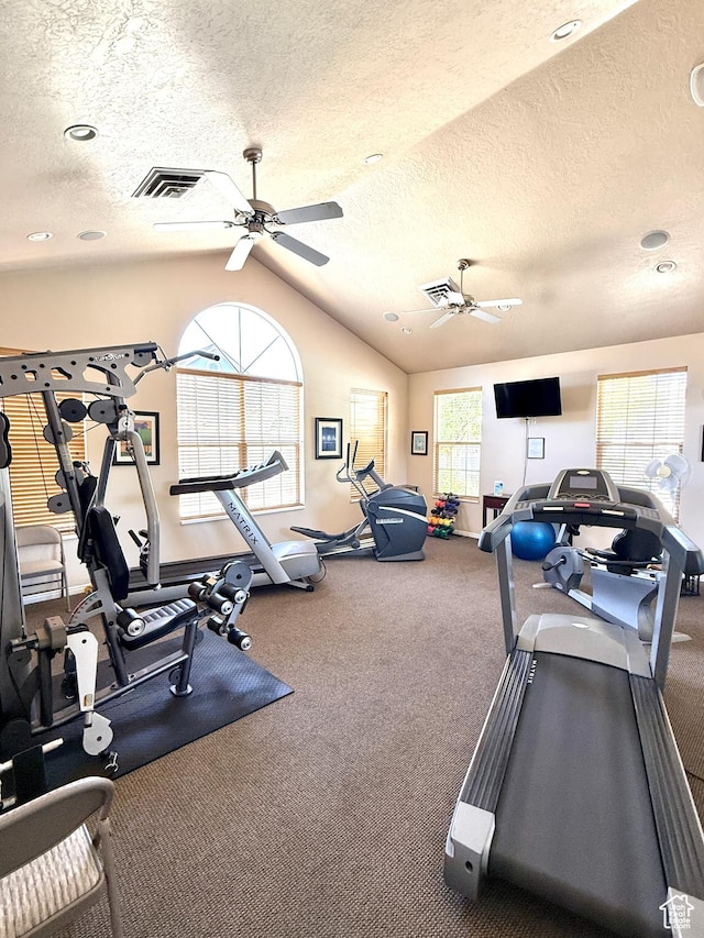 532 W 300 S Unit B, Springville, UT 84663 - gym with a ceiling fan, a textured ceiling, lofted ceiling, and carpet flooring