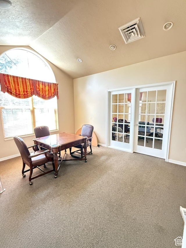 532 W 300 S Unit B, Springville, UT 84663 - home office with vaulted ceiling, carpet, a textured ceiling, and recessed lighting