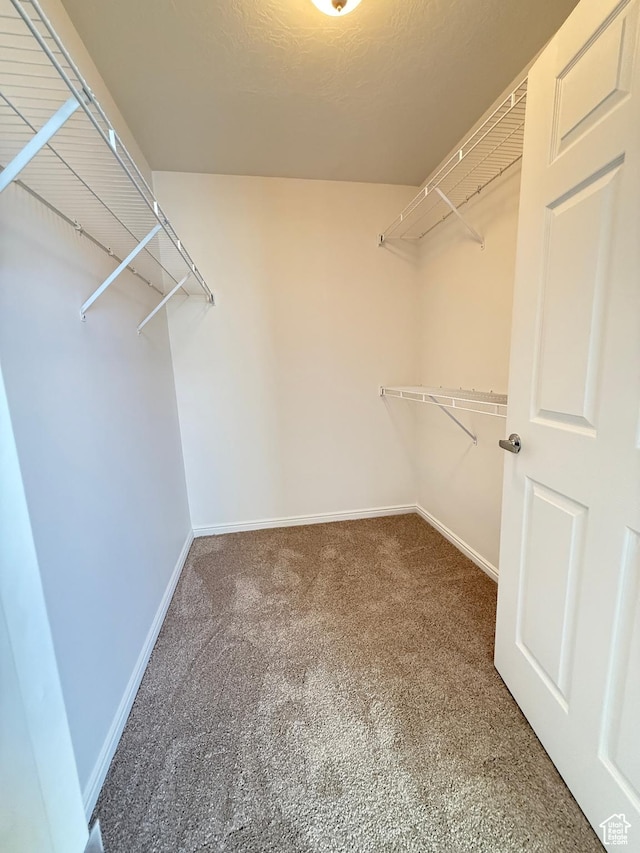 532 W 300 S Unit B, Springville, UT 84663 - walk in closet with carpet flooring