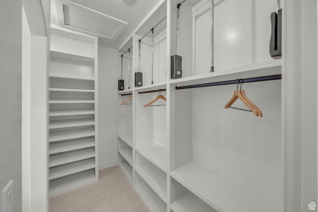 3728 W Chalgrove Rd, Taylor, UT 84401 - view of spacious closet