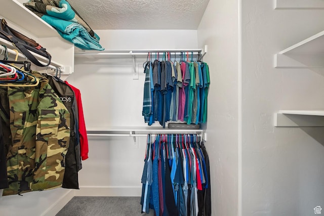3902 W Pilton Ct, Taylorsville, UT 84129 - spacious closet with carpet flooring