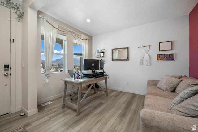 537 W Flora Dr, Saratoga Springs, UT 84045 - office space featuring light wood-style floors, a textured ceiling, and recessed lighting