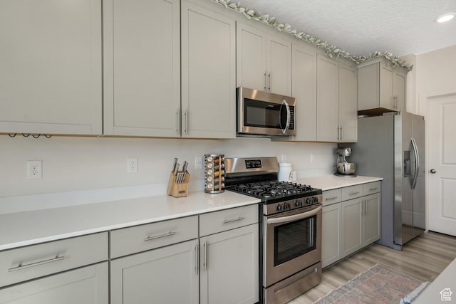 537 W Flora Dr, Saratoga Springs, UT 84045 - kitchen featuring stainless steel appliances, gray cabinets, light wood-style flooring, and light countertops