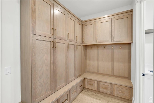 1597 W Belayer Dr, St George, UT 84770 - mudroom with light wood-style floors