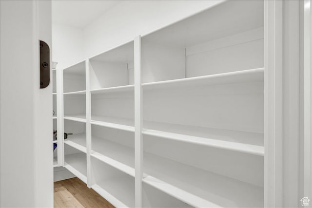 1597 W Belayer Dr, St George, UT 84770 - view of pantry