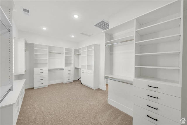 1597 W Belayer Dr, St George, UT 84770 - walk in closet with light carpet