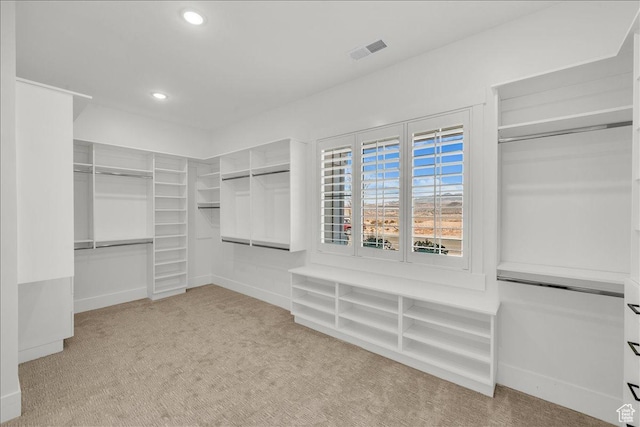 1597 W Belayer Dr, St George, UT 84770 - spacious closet featuring carpet flooring