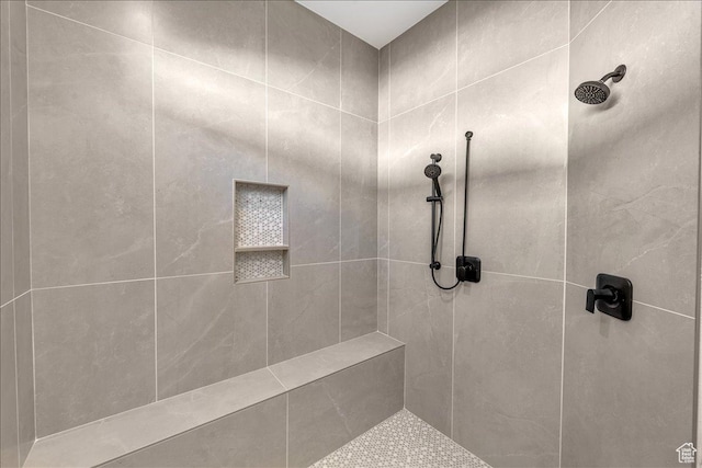 1597 W Belayer Dr, St George, UT 84770 - full bath with tiled shower