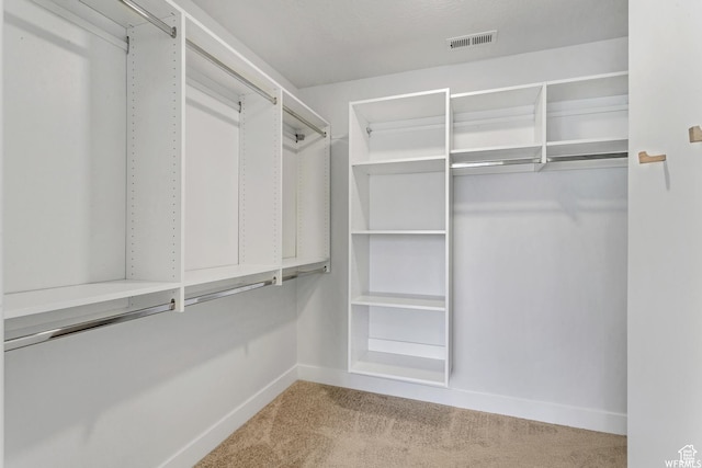 4273 W Watchmen Way, Herriman, UT 84096 - walk in closet with light carpet