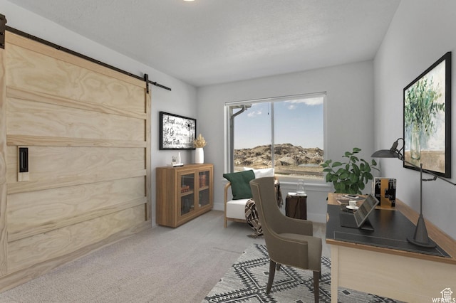 4273 W Watchmen Way, Herriman, UT 84096 - carpeted office featuring a barn door