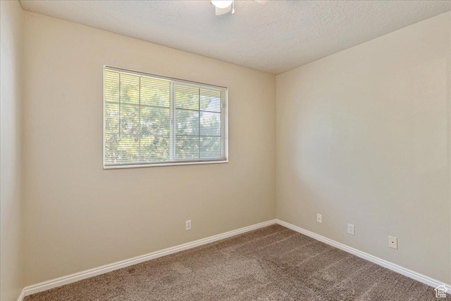 1218 W 1420 N, Orem, UT 84057 - spare room featuring carpet floors and a textured ceiling