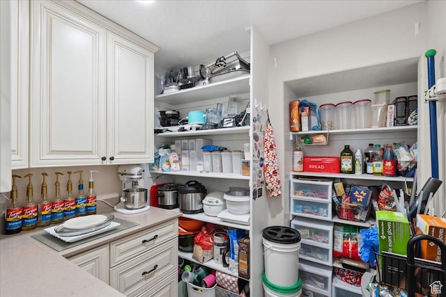 5719 W Boulder Creek Rd, West Jordan, UT 84081 - view of pantry