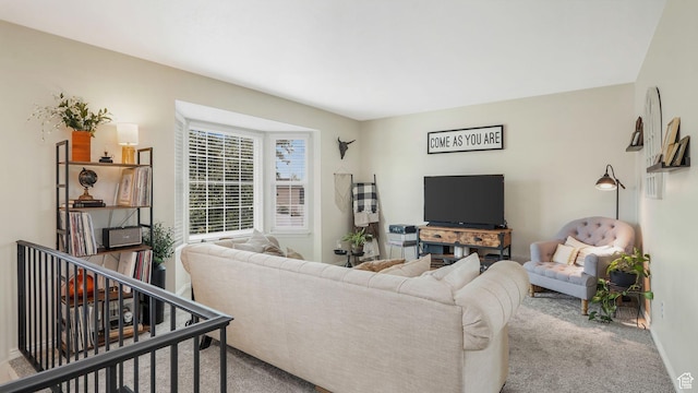 3737 S Washington Dr W, Magna, UT 84044 - view of carpeted living room
