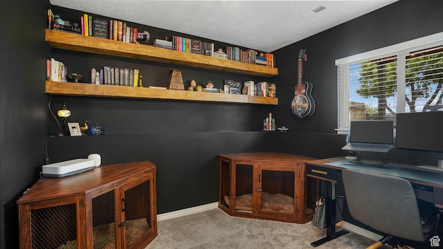 3737 S Washington Dr W, Magna, UT 84044 - office space featuring light carpet