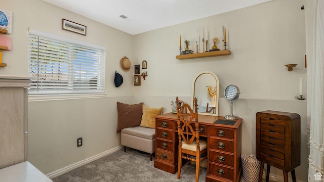 3737 S Washington Dr W, Magna, UT 84044 - office space featuring carpet and baseboards