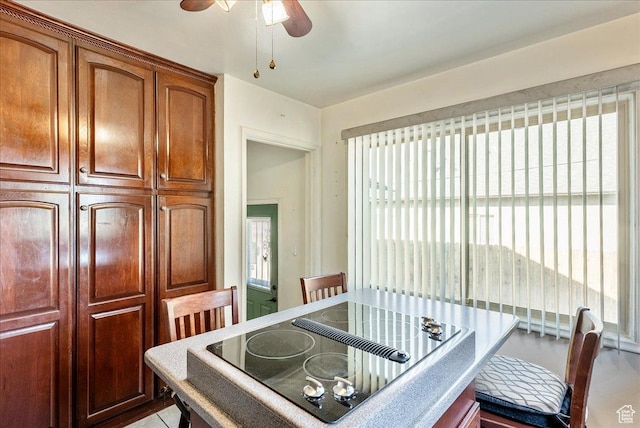 458 E 8800 S, Sandy, UT 84070 - dining room featuring plenty of natural light and a ceiling fan