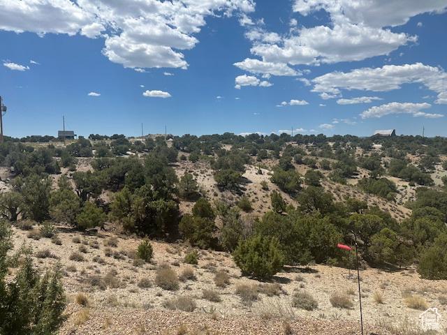 12834 S George Marett Dr, Duchesne, UT 84021 - photo 16