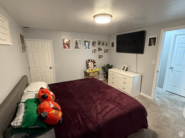 1079 E 850 S, Spanish Fork, UT 84660 - photo 24