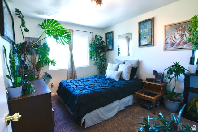 856 S 860 W, Tooele, UT 84074 - bedroom featuring carpet floors