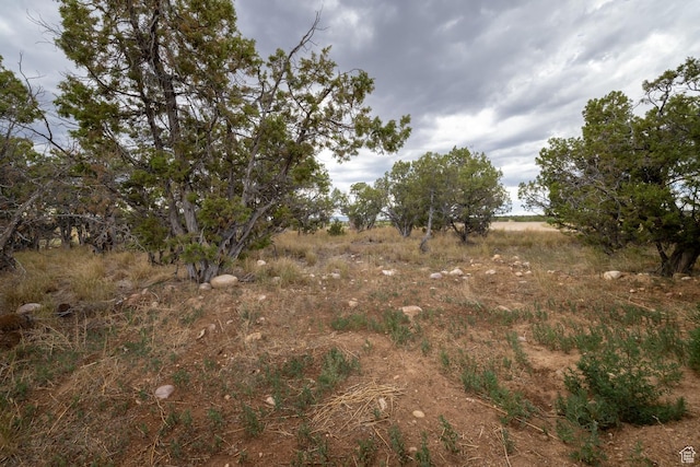 3378 N Sr 87 W, Talmage, UT 84073 - view of local wilderness