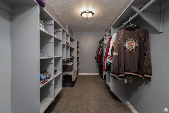 3378 N Sr 87 W, Talmage, UT 84073 - spacious closet with carpet