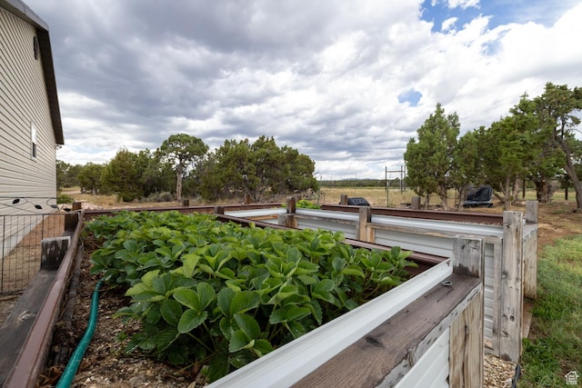 3378 N Sr 87 W, Talmage, UT 84073 - view of yard