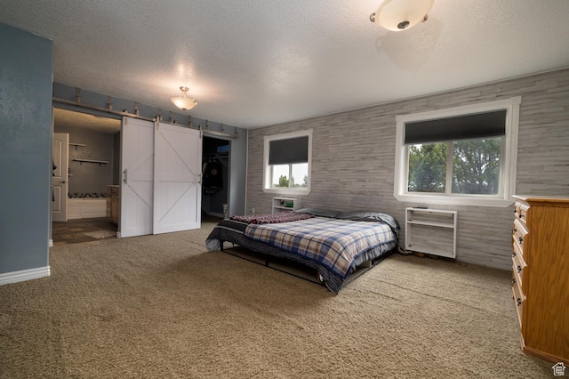3378 N Sr 87 W, Talmage, UT 84073 - bedroom featuring a barn door, carpet floors, connected bathroom, and a textured ceiling