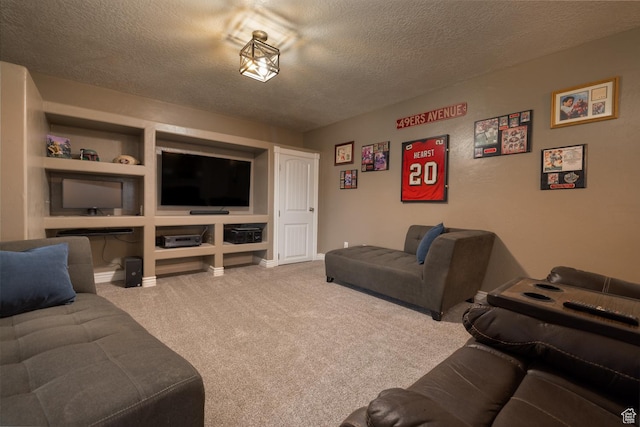 3378 N Sr 87 W, Talmage, UT 84073 - living room featuring a textured ceiling and carpet floors