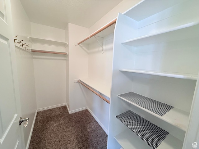 2205 N 600 E, North Ogden, UT 84414 - walk in closet featuring carpet flooring