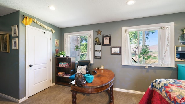 180 N State St, Sigurd, UT 84657 - carpeted bedroom with multiple windows, recessed lighting, and an office area