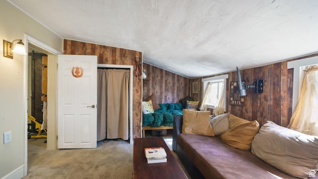 180 N State St, Sigurd, UT 84657 - living room featuring wood walls, carpet, and lofted ceiling