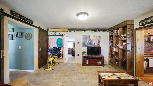 180 N State St, Sigurd, UT 84657 - living room with a barn door, carpet floors, and a textured ceiling