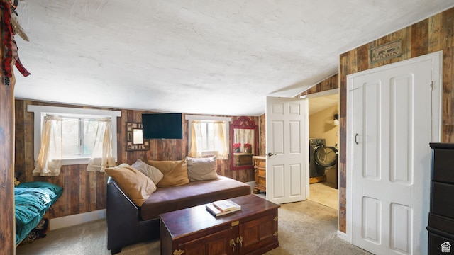 180 N State St, Sigurd, UT 84657 - living room with wooden walls, light colored carpet, washer / clothes dryer, and vaulted ceiling