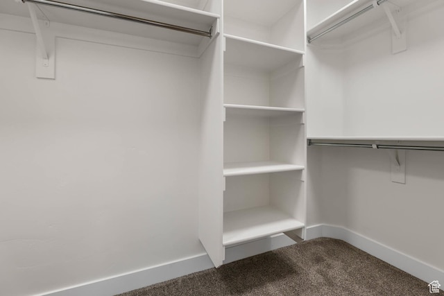 947 S 2040 W, Orem, UT 84059 - walk in closet with carpet