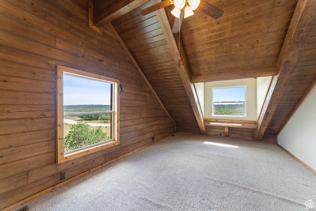 16 N Porcupine Ln, La Sal, UT 84530 - bonus room with healthy amount of natural light, wooden ceiling, carpet, wood walls, and ceiling fan