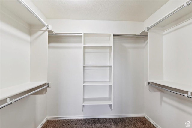 5464 S 3200 W, Roy, UT 84067 - walk in closet with carpet flooring