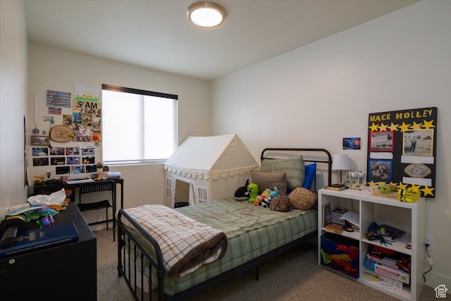 2049 N Harvest Village Ln, Saratoga Springs, UT 84045 - view of carpeted bedroom