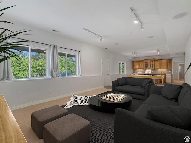 2960 E Oak Park Ln S, Holladay, UT 84117 - living area with track lighting, light carpet, and plenty of natural light