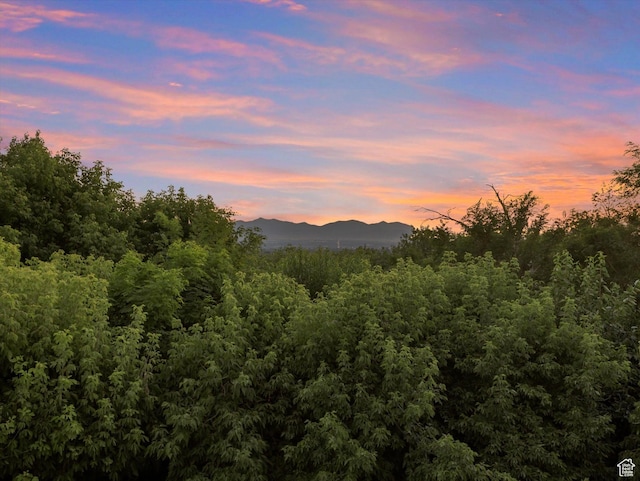 2960 E Oak Park Ln S, Holladay, UT 84117 - view of mountain background featuring a forest