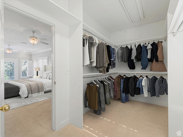 2960 E Oak Park Ln S, Holladay, UT 84117 - spacious closet with carpet, a ceiling fan, and attic access