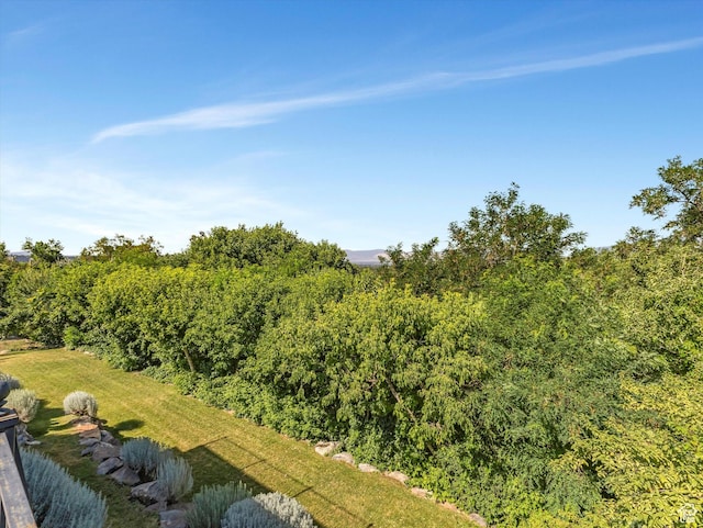 2960 E Oak Park Ln S, Holladay, UT 84117 - bird's eye view of a forest