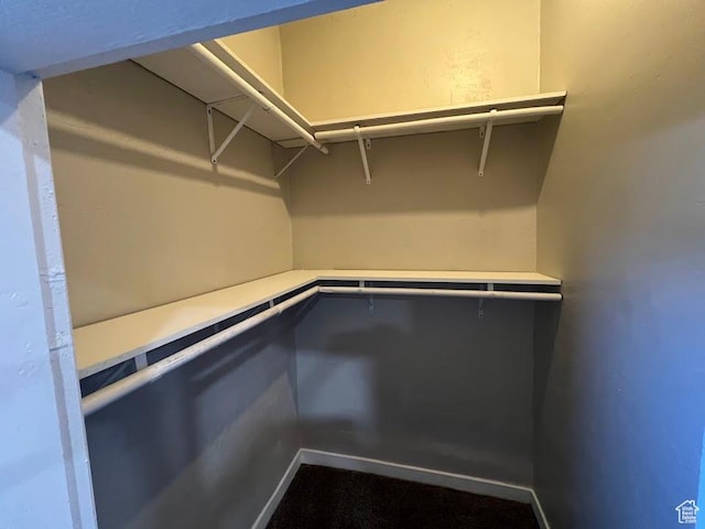 9173 S 1300 W, West Jordan, UT 84088 - view of walk in closet