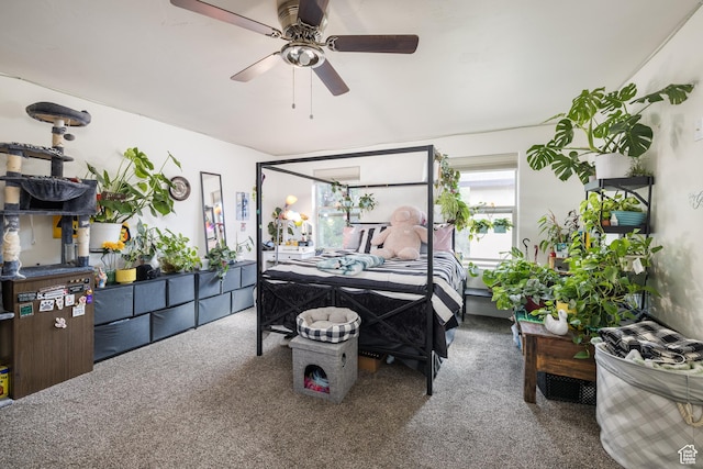 1018 S Valley View Ct, Moab, UT 84532 - carpeted bedroom featuring ceiling fan
