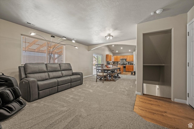 2371 N 1110 W, Clinton, UT 84015 - living area featuring a textured ceiling, vaulted ceiling, and light colored carpet