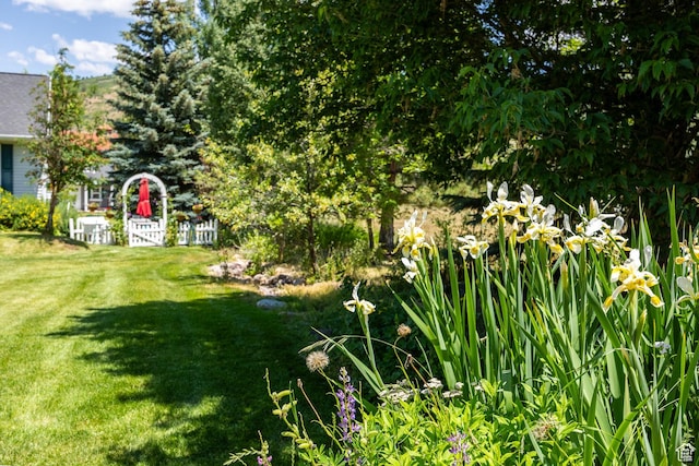 2565 E Woodland Way, Kamas, UT 84036 - view of grassy yard