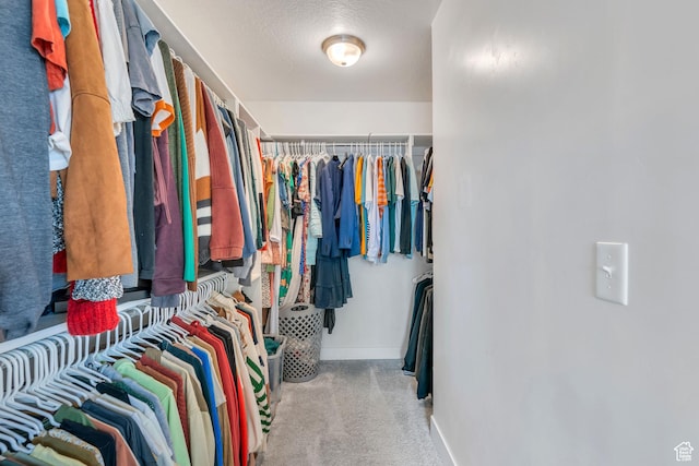1769 W Stone Gate Dr, Saratoga Springs, UT 84045 - walk in closet with carpet floors