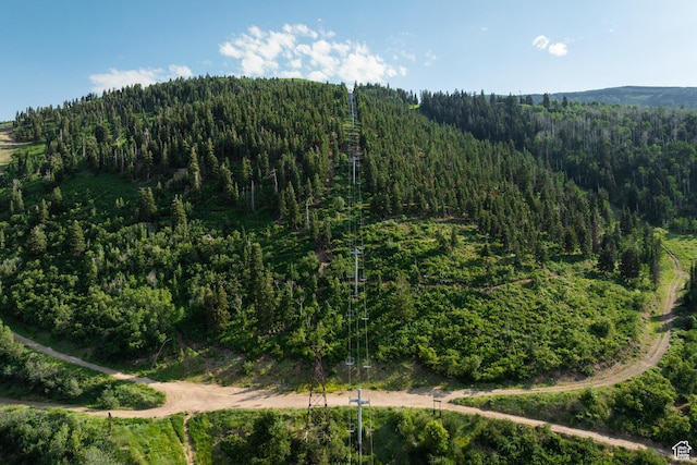 1003 Norfolk Ave, Park City, UT 84060 - view of mountain background featuring a heavily wooded area