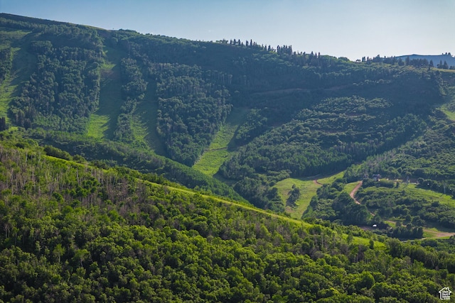 1003 Norfolk Ave, Park City, UT 84060 - view of mountain backdrop featuring a heavily wooded area